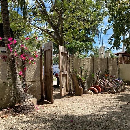 Hotel Selva Bacalar - Free Bike Rental 외부 사진