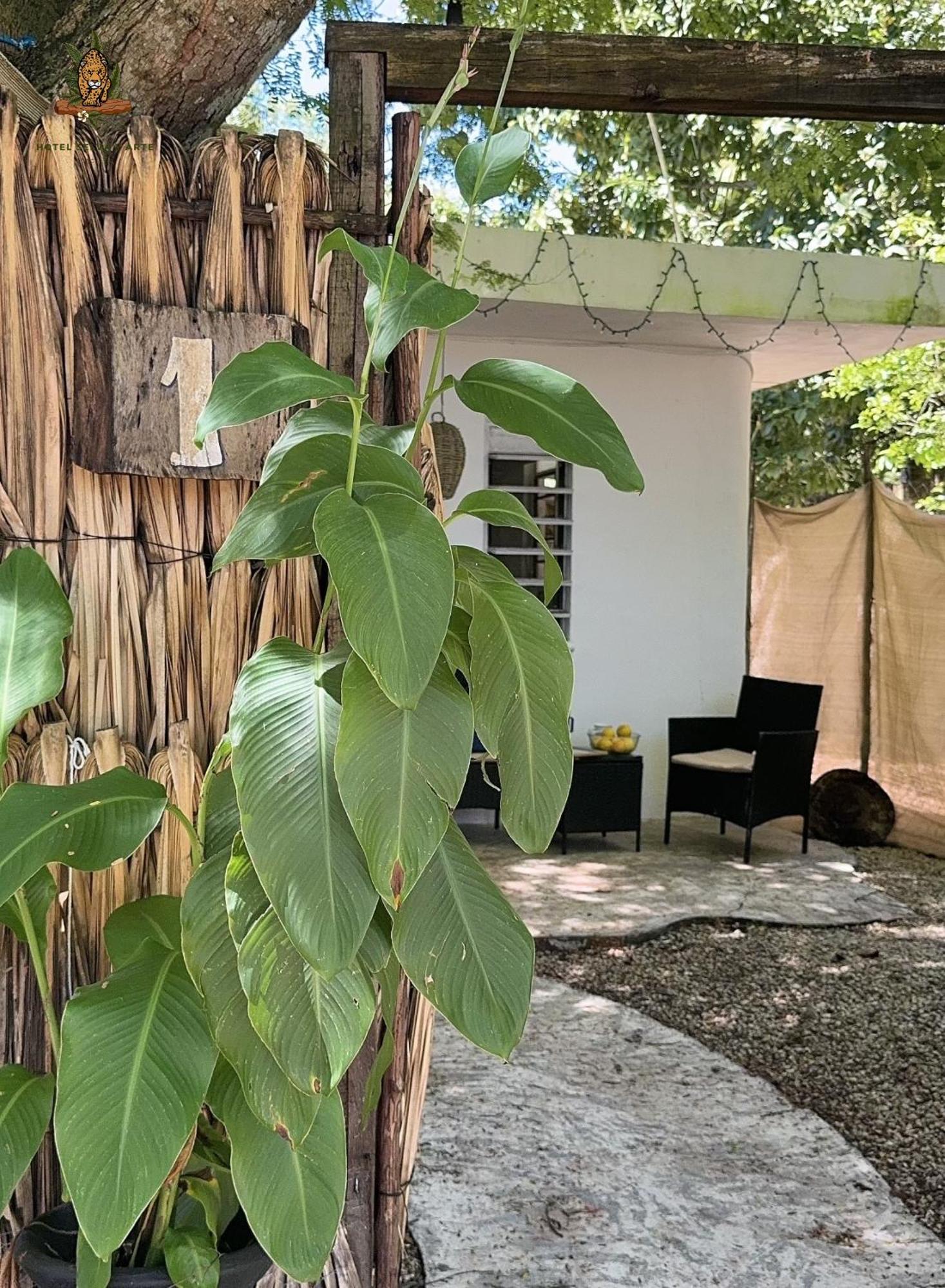 Hotel Selva Bacalar - Free Bike Rental 외부 사진