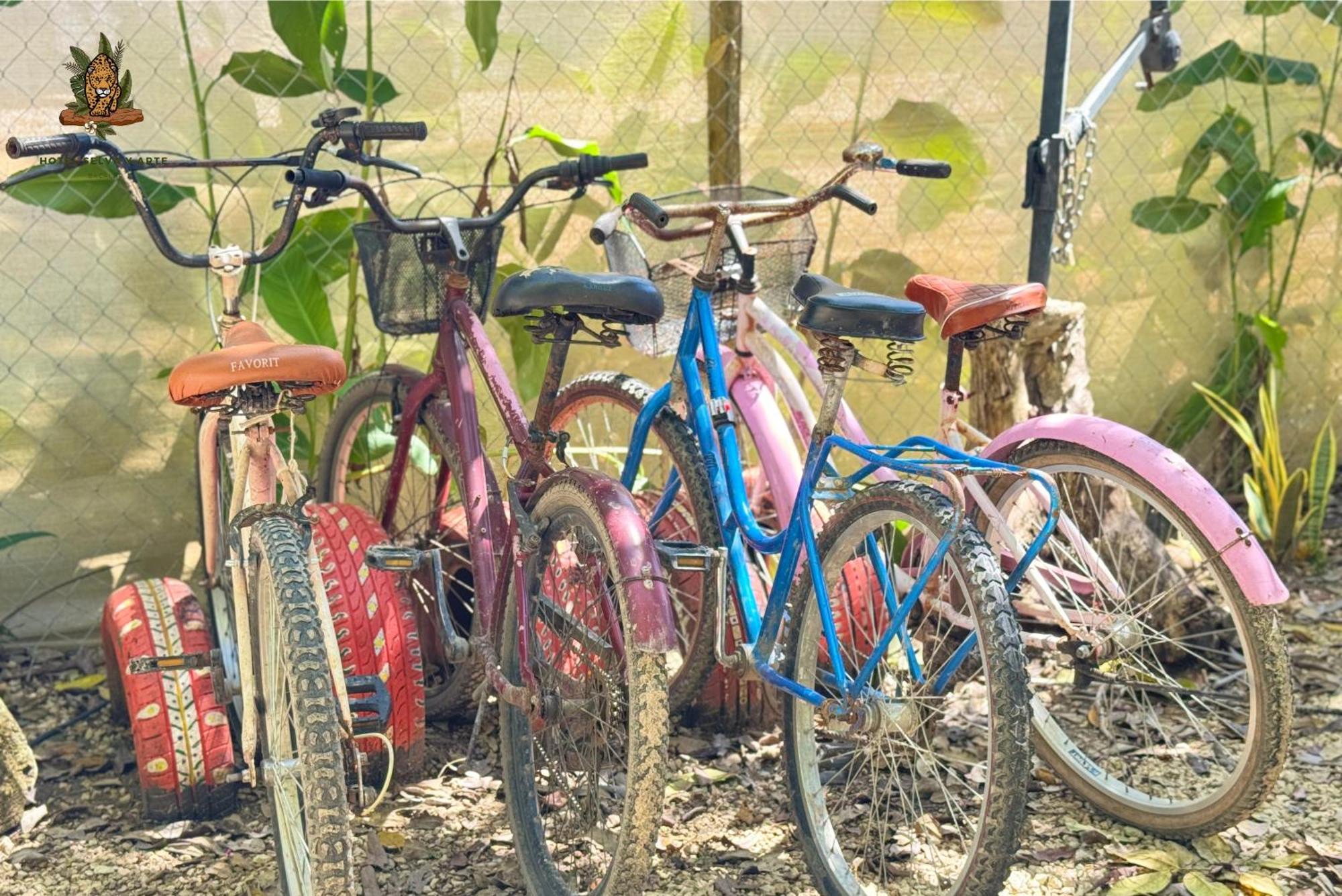 Hotel Selva Bacalar - Free Bike Rental 외부 사진