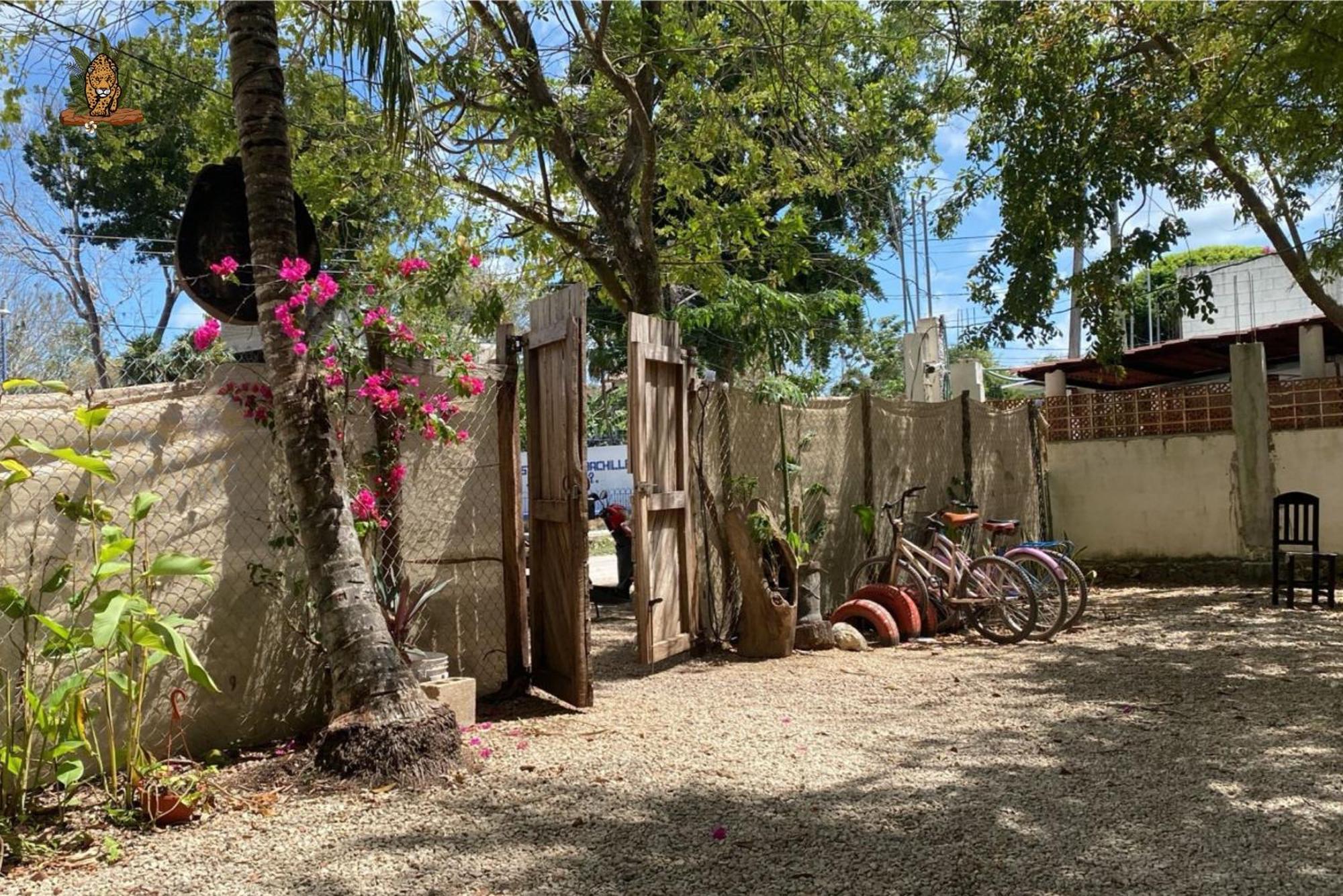 Hotel Selva Bacalar - Free Bike Rental 외부 사진